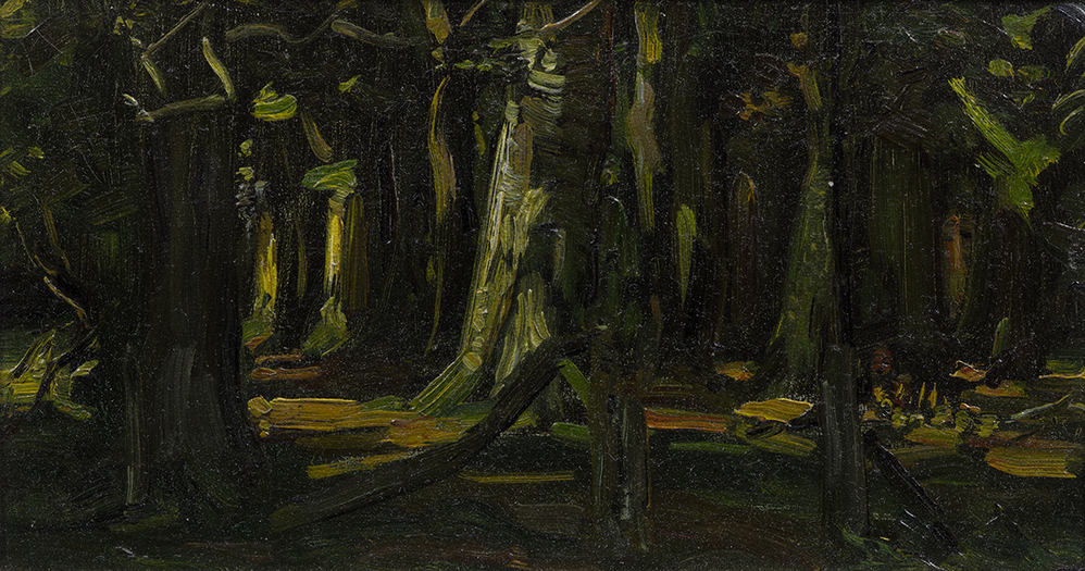 Hek aan pad door donker bos (studie)